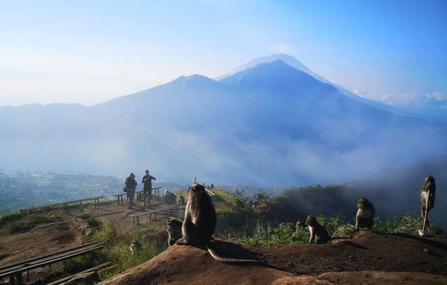 Bali Kintamani Volcano Tour